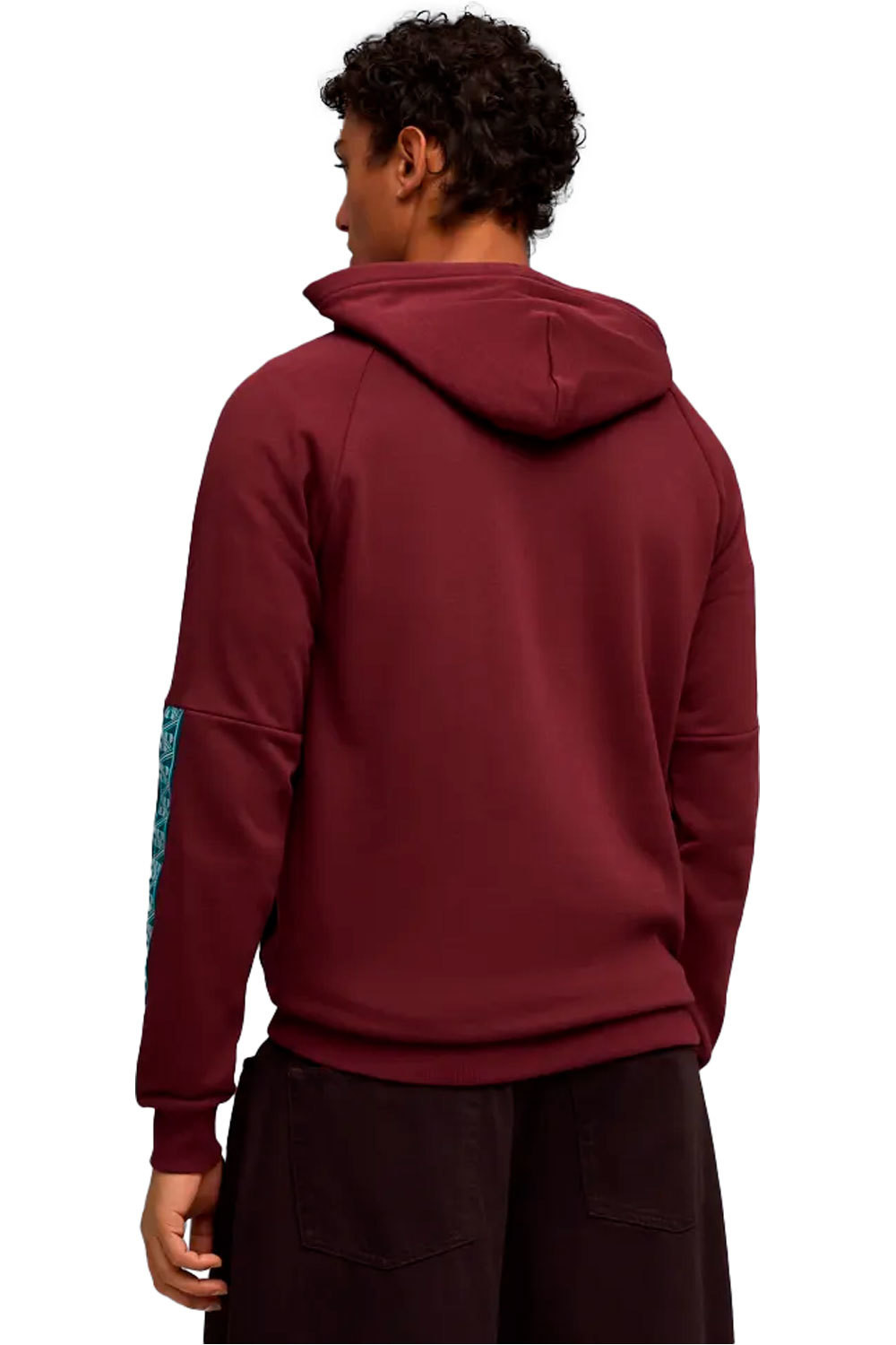 Puma sudadera entrenamiento fútbol FPF KING Hoodie vista trasera