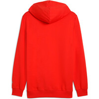 Puma sudadera entrenamiento fútbol PORTUGAL 25 ftblNRGY Hoodie vista trasera