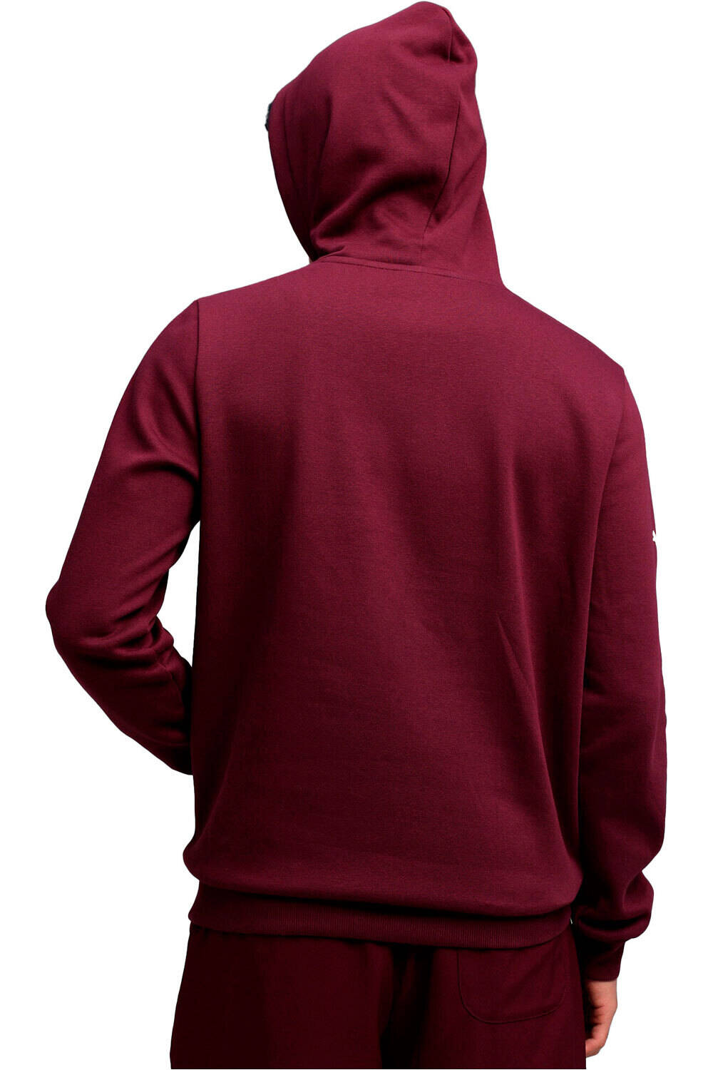 Puma sudadera hombre BMW MMS ESS Hoodie F vista trasera