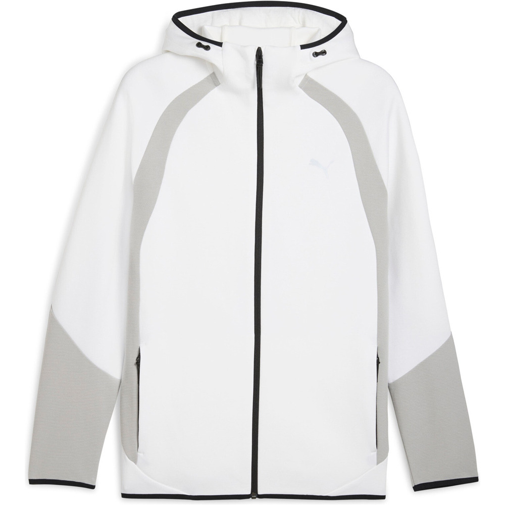 Puma sudadera hombre EVOSTRIPE FZ Hoodie vista frontal