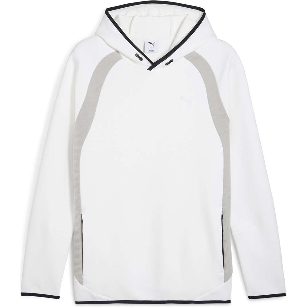 Puma sudadera hombre EVOSTRIPE Hoodie DK vista frontal