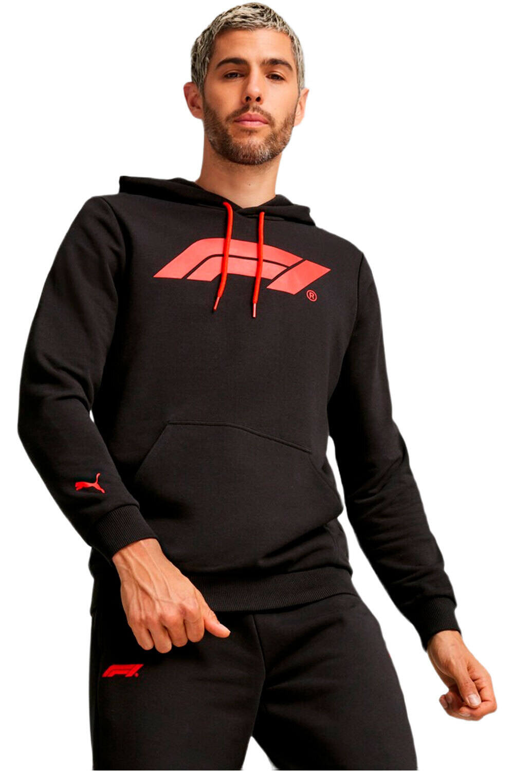Puma sudadera hombre F1 ESS Logo Hoodie vista frontal
