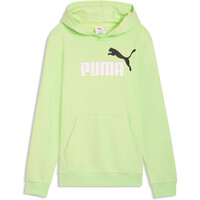 Puma sudadera niño ESS 2 COLOR No.1 Log vista frontal
