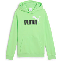 ESSENTIALS 2 COLOR LOGO