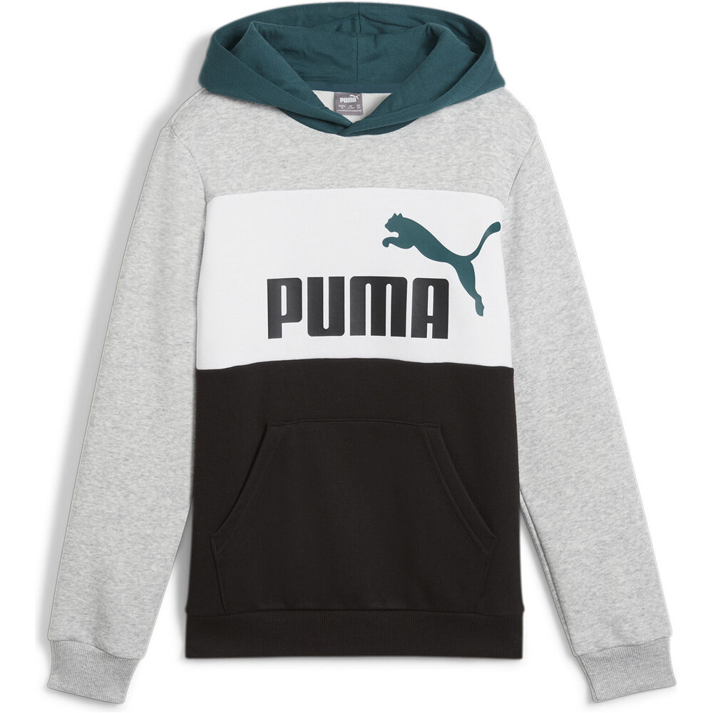 Puma sudadera niño ESS BLOCK Hoodie FL vista frontal