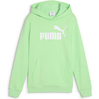 Puma sudadera niño ESS No. 1 Logo Hoodi vista frontal