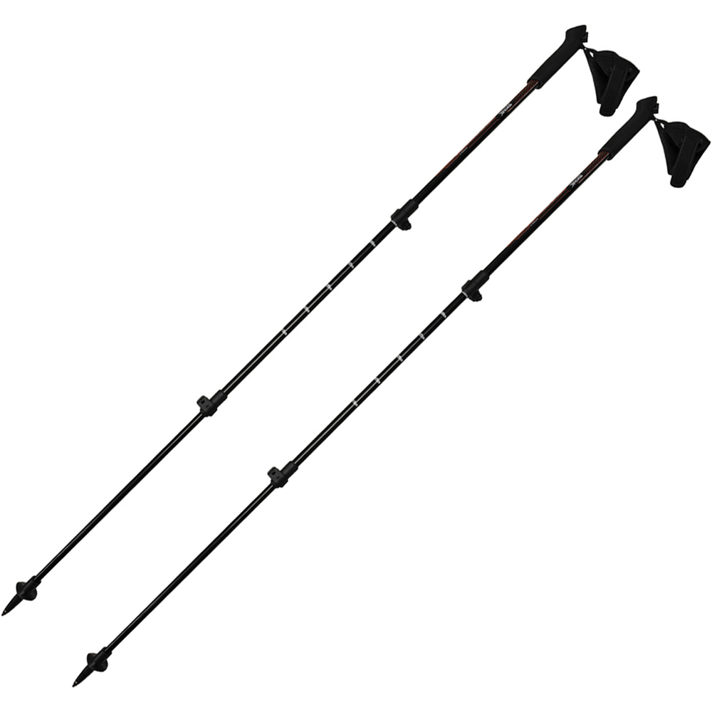 Regatta bastón travesía montaña Nordic Wlk Pole vista frontal