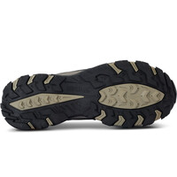 Regatta zapatilla trekking hombre Holcombe 3 Low vista superior