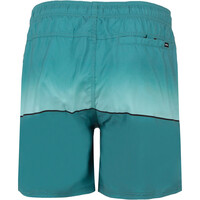 Rip Curl bañador playa hombre BLOCKFADE VOLLEY vista trasera