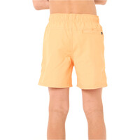 Rip Curl bañador playa niño OFFSET VOLLEY -BOY vista trasera