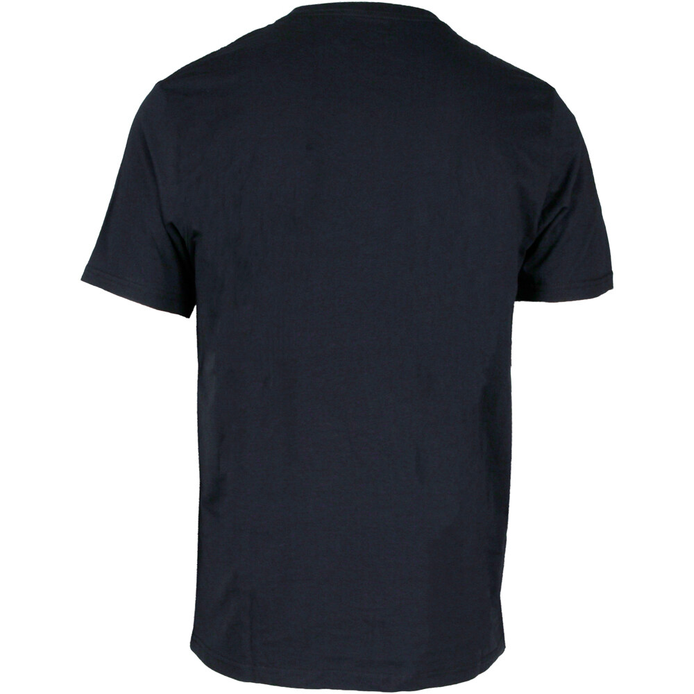 Rip Curl camiseta manga corta hombre _M_LINEUP STRIPE  TEE vista trasera