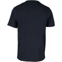 Rip Curl camiseta manga corta hombre _M_LINEUP STRIPE  TEE vista trasera