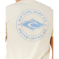 Rip Curl camiseta manga corta hombre _M_STAPLE TEE 03