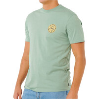 Rip Curl camiseta manga corta hombre _M_STREAMLINE PALMY TEE vista detalle