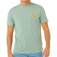 Rip Curl camiseta manga corta hombre _M_STREAMLINE PALMY TEE vista frontal