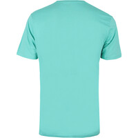 Rip Curl camiseta manga corta hombre _M_STRIPE CIRCLE TEE vista trasera