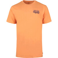 Rip Curl camiseta manga corta hombre _M_SURF PARADISE F&B TEE vista frontal