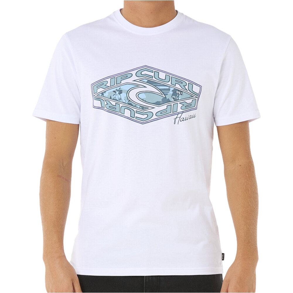 Rip Curl camiseta manga corta hombre REFILL TEE vista frontal
