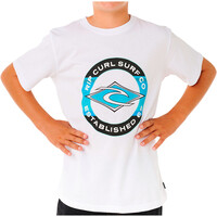 Rip Curl camiseta manga corta niño STAPLE FILLER TEE-BOY vista trasera
