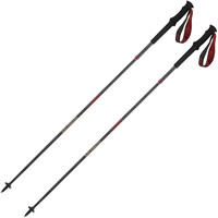 Salomon Baston Trail POLES QUEST CARBON FOLDABLE Madder vista frontal