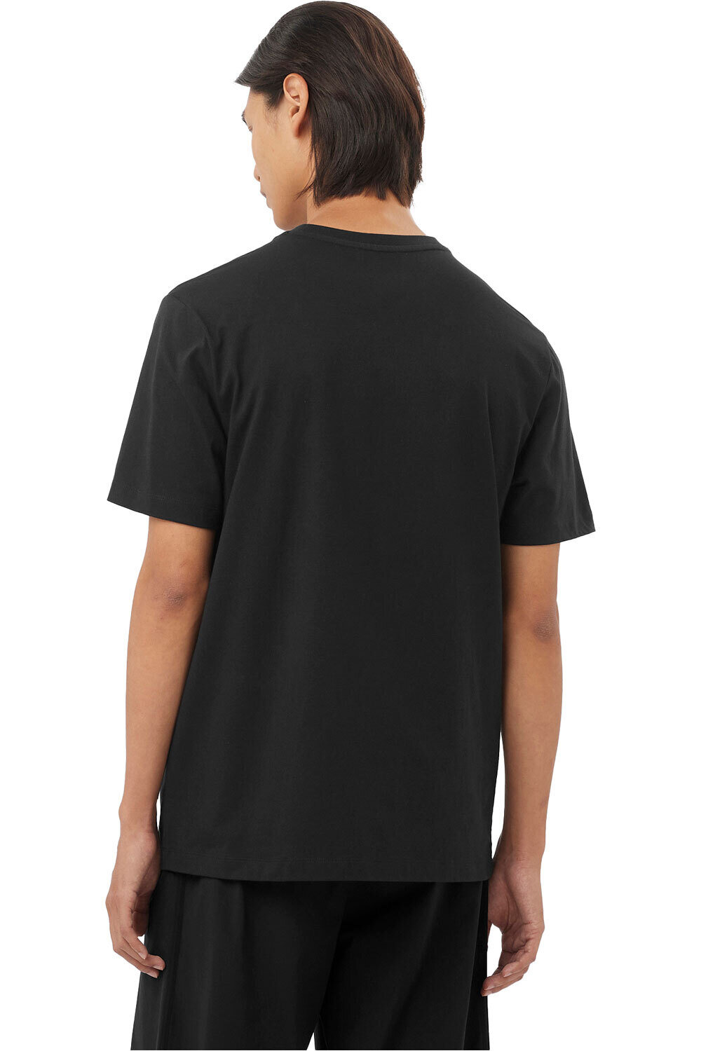 Salomon camiseta montaña manga corta hombre CHEST LOGO REGULAR TEE M vista trasera