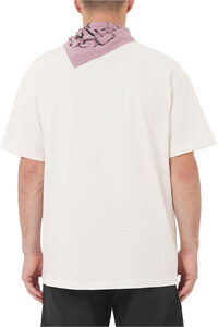 Salomon camiseta montaña manga corta hombre CHEST LOGO RELAXED TEE M vista trasera