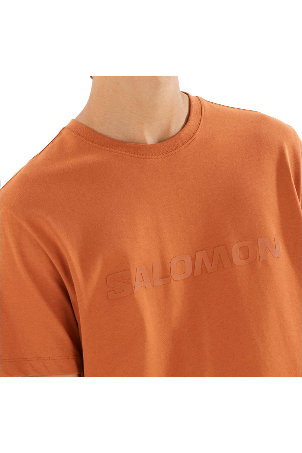 Salomon camiseta montaña manga corta hombre SALOMON BIG LOGO TEE M vista detalle