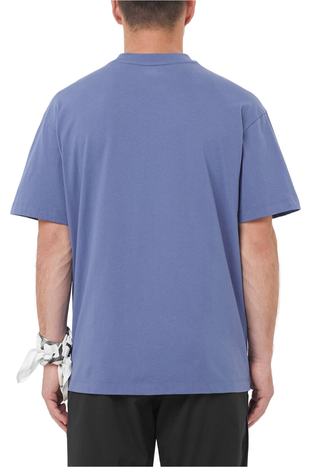 Salomon camiseta montaña manga corta hombre WILD RAYS LABEL SS TEE M vista trasera