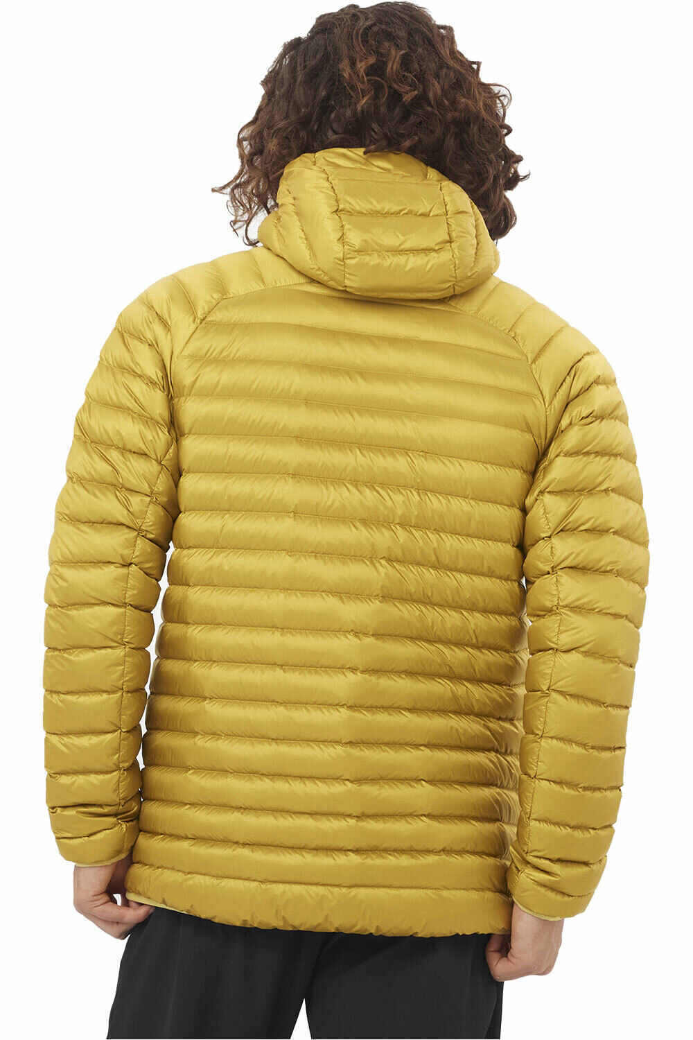 Salomon chaqueta outdoor hombre ELIXIR MICRO DOWN HD M vista trasera