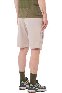 Salomon pantalón corto montaña hombre WAYFARER SHORTS M vista trasera