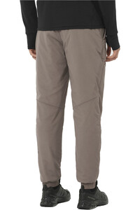 Salomon pantalón montaña hombre MOUNTAIN FLEX PANTS M vista trasera