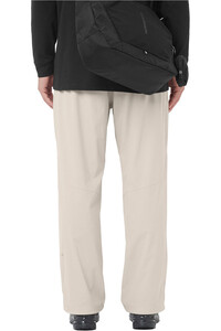 Salomon pantalón montaña hombre WAYFARER EASE 2.0 PANTS M vista trasera