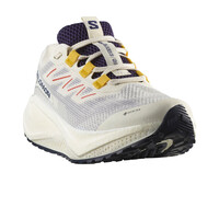 Salomon zapatilla running mujer AERO BLAZE 3 GRVL GTX W lateral interior