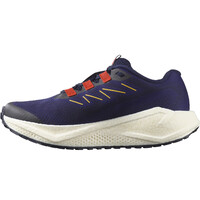 Salomon zapatilla running mujer AERO BLAZE 3 GRVL W vista trasera