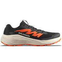 Salomon zapatillas trail hombre ALPHAGLIDE lateral exterior