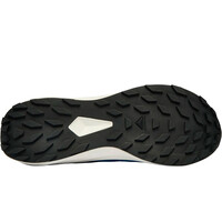 Salomon zapatillas trail hombre ALPHAGLIDE puntera