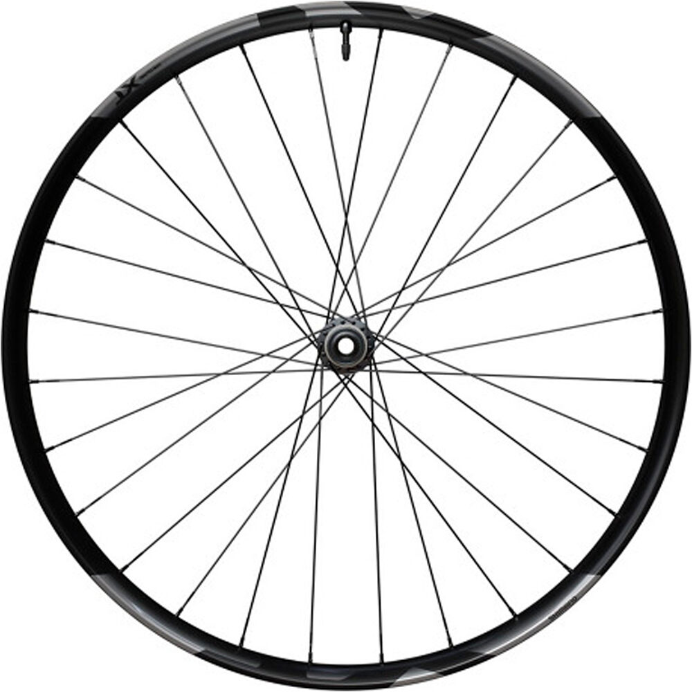 Shimano ruedas mtb Wheel Front M8200 29'' vista frontal