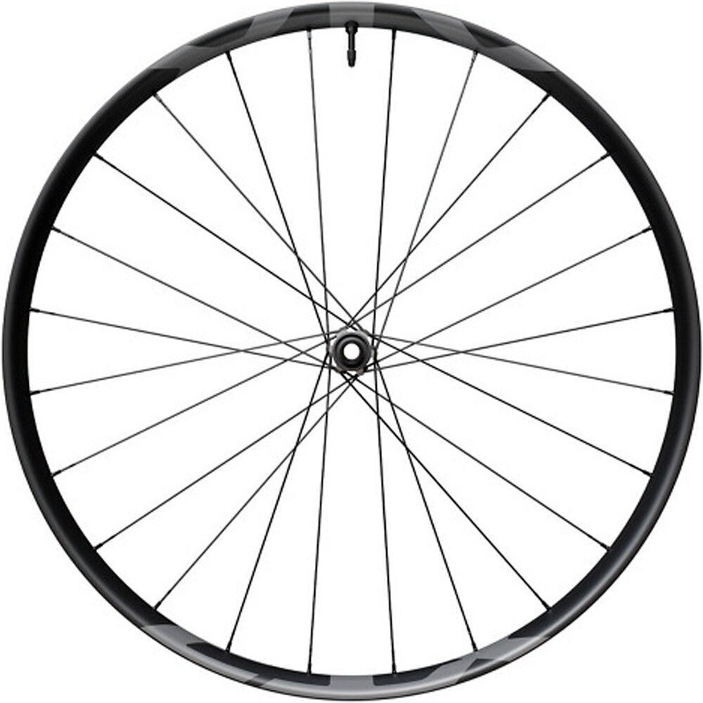 Shimano ruedas mtb Wheel Front M9200 29'' vista frontal