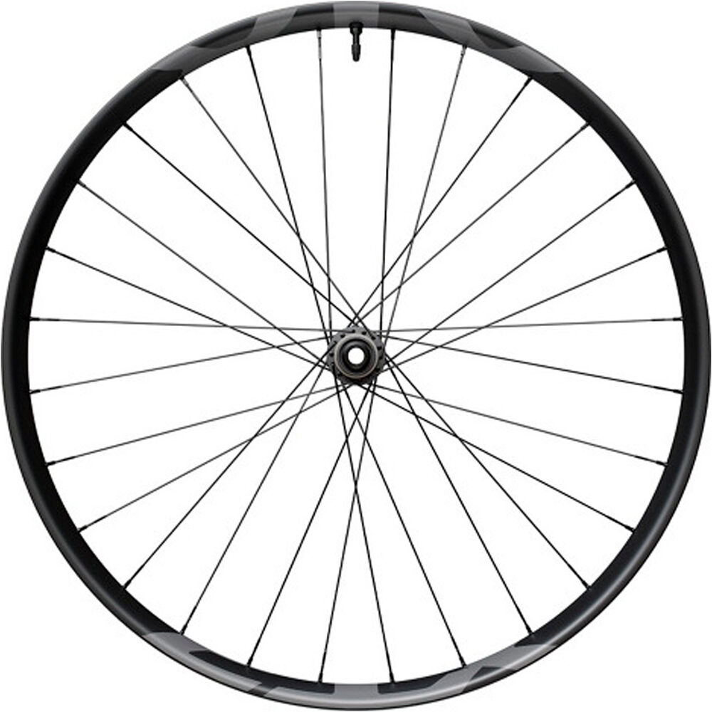 Shimano ruedas mtb Wheel Front M9220 29'' vista frontal