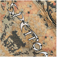 Spetton Traje Humedo Traje BROWN DESERT Camo Fussion 3mm vista detalle