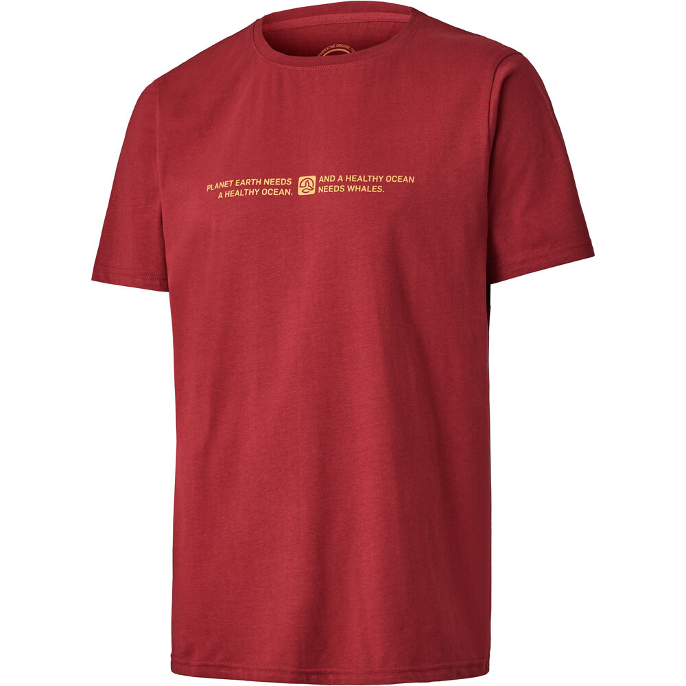 Ternua camiseta manga corta hombre CLADDAGH T M vista frontal