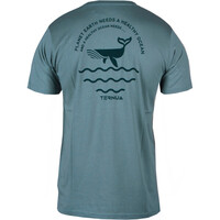 Ternua camiseta montaña manga corta hombre _3_ASKILL FMS vista trasera