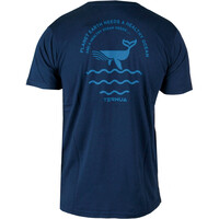 Ternua camiseta montaña manga corta hombre _3_ASKILL FMS vista trasera