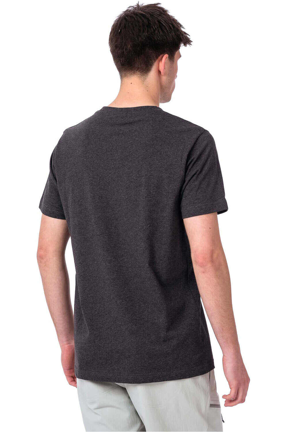 Ternua camiseta montaña manga corta hombre AILIK T M vista trasera