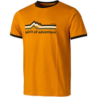 APUT REGENERATIVE T M