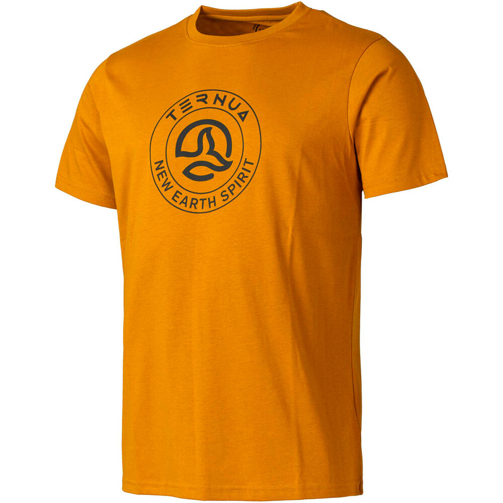 Ternua camiseta montaña manga corta hombre AYRE REGENERATIVE T M vista frontal