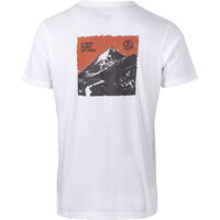 Ternua camiseta montaña manga corta hombre OLIMPO vista trasera