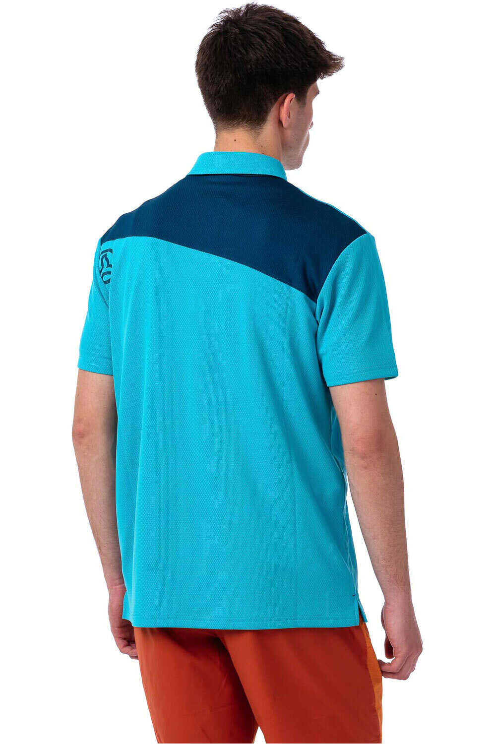 Ternua camiseta montaña manga corta hombre SKELD 2.0 POLO M vista trasera