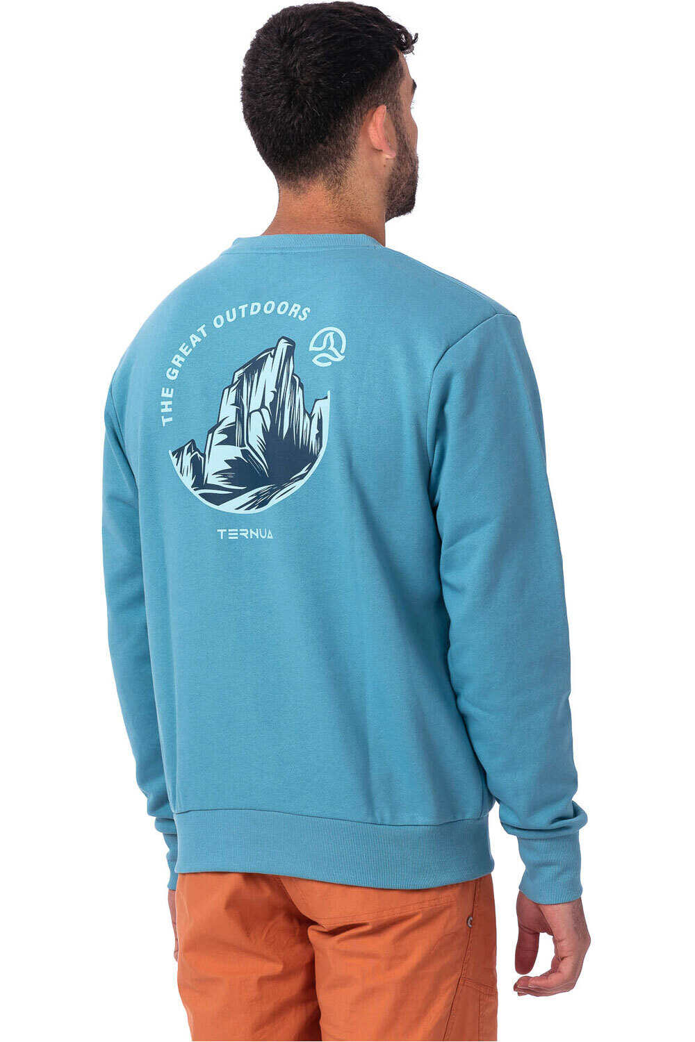 Ternua camiseta montaña manga larga hombre HALFDOME vista trasera