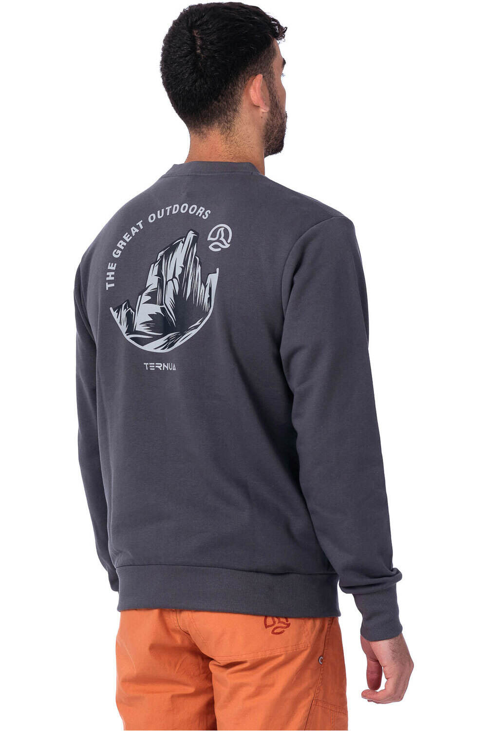 Ternua camiseta montaña manga larga hombre HALFDOME vista trasera